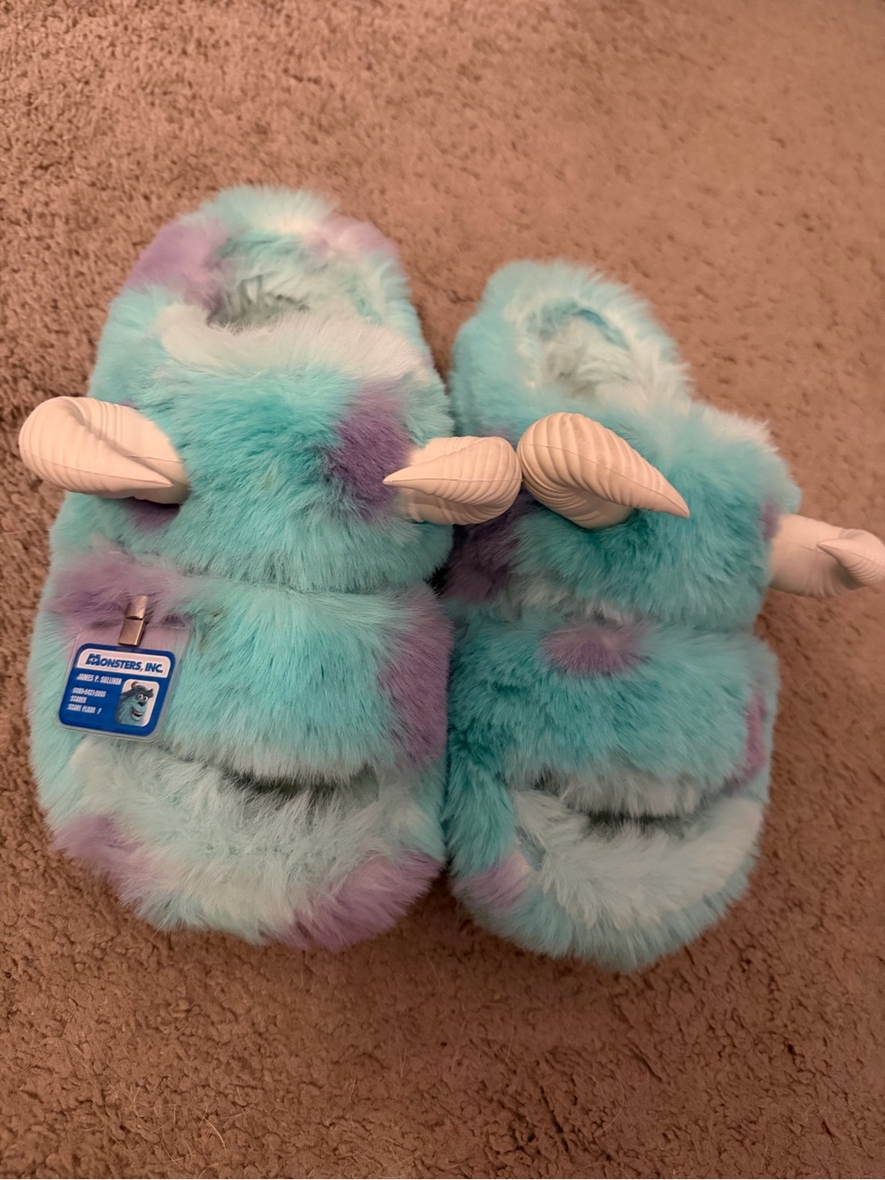 Disney Pixar Sulley Crocs